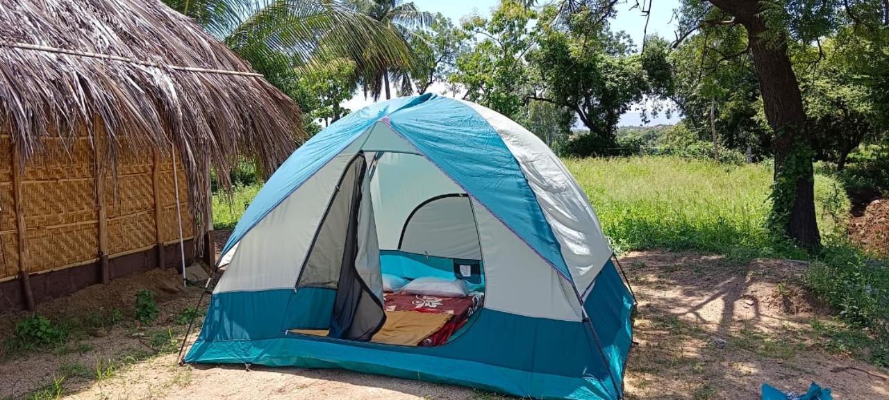 Banana Tree Home Stay Hampi Eksteriør billede
