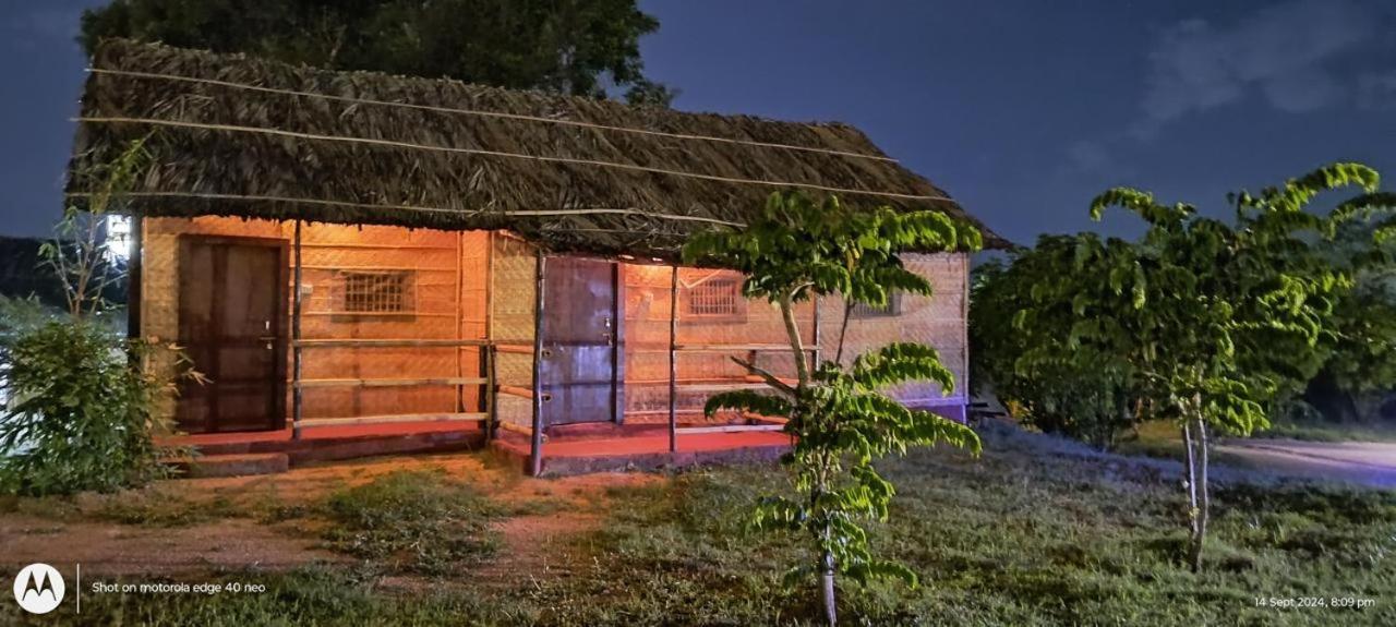 Banana Tree Home Stay Hampi Eksteriør billede